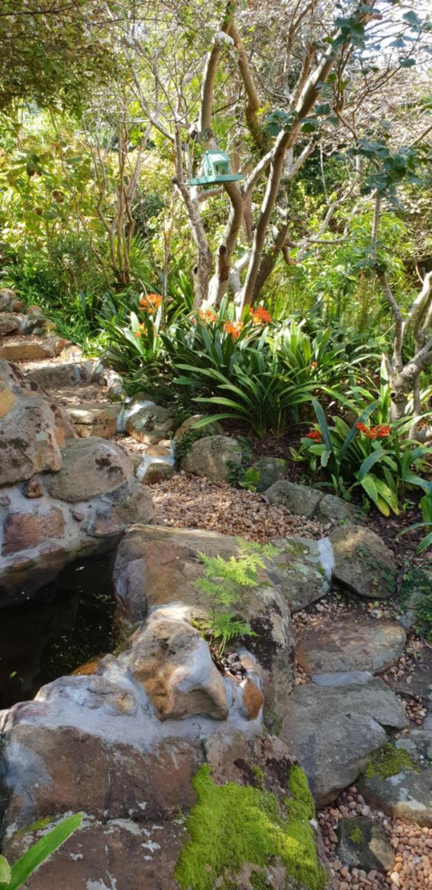 Cap Serein Guest House Cape Town Eksteriør bilde