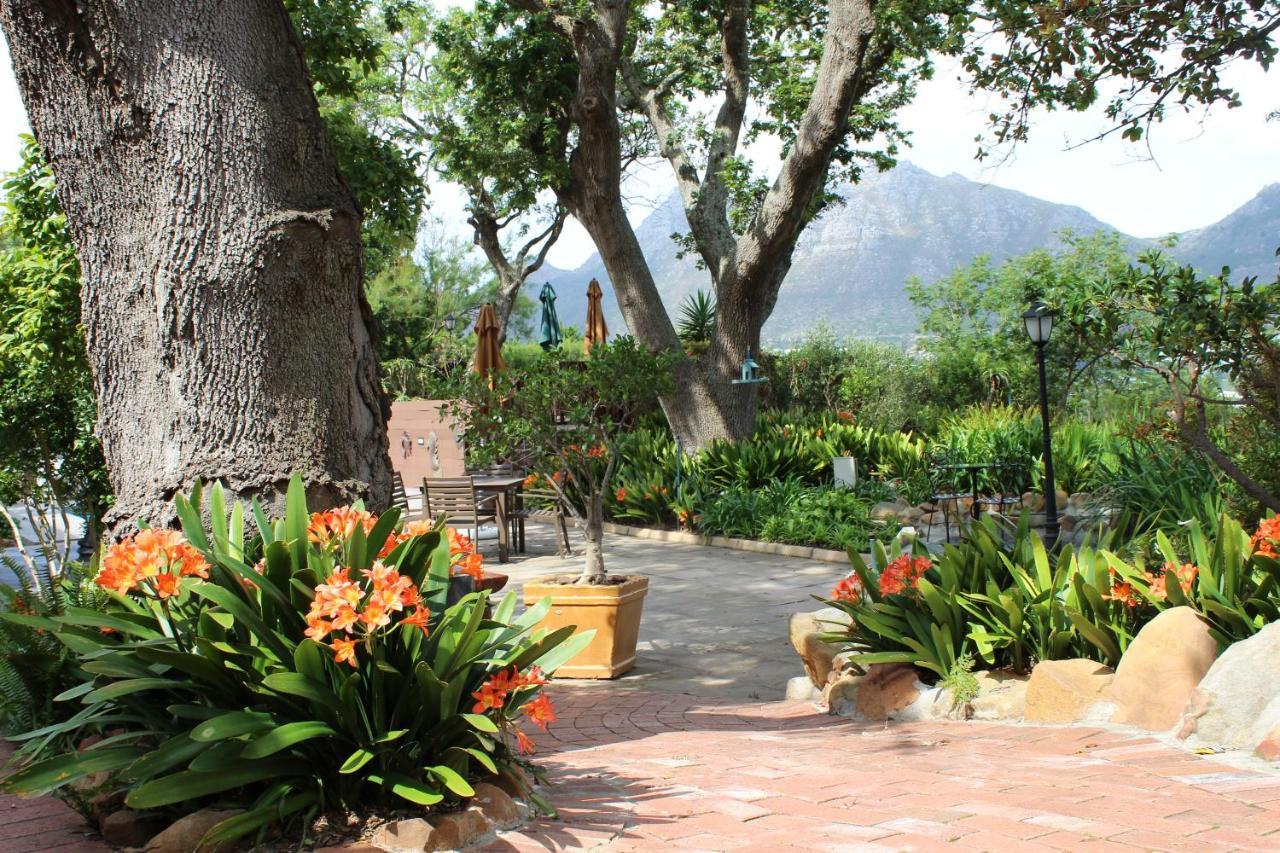 Cap Serein Guest House Cape Town Eksteriør bilde